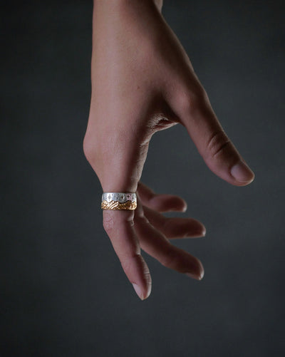 INTERLOCKING UNIVERSE RING